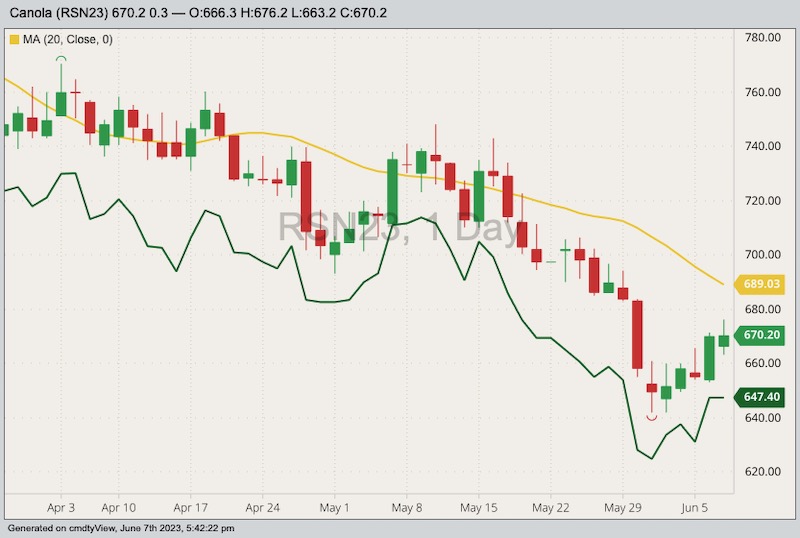 ICE July 2023 canola with 20-day moving average and November 2023 canola (dark green line). (Barchart)
