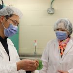AAFC researcher Fengqun Yu, right, and a research team member inspect an infected plant at Saskatoon’s
research and development centre.