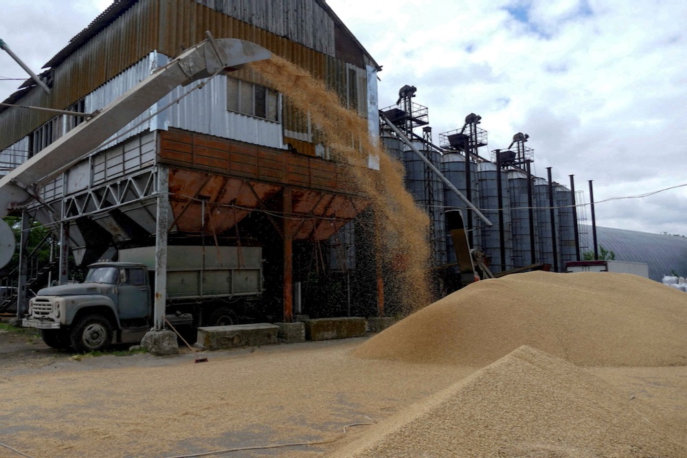 File photo of barley being unloaded at a grain terminal in Ukraine on June 23, 2022. (Photo: Reuters/Igor Tkachenko)
