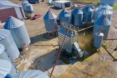 (Flaman Group video screengrab via YouTube)
