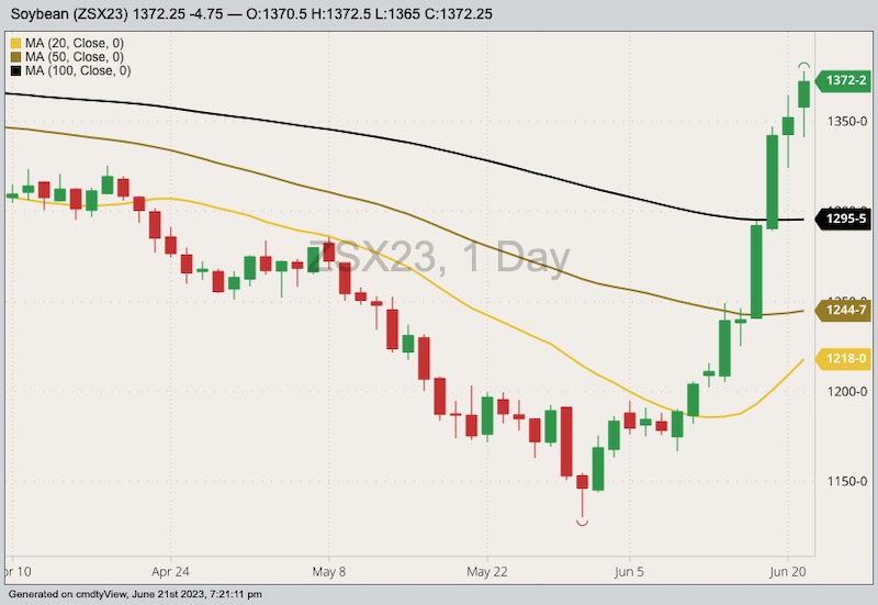 CBOT November 2023 soybeans with 20-, 50- and 100-day moving averages. (Barchart)
