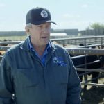 Remote watering is one of the most effective tools to keep livestock out of dugouts and other surface water where blue-green algae can develop, says retired large animal veterinarian Roy Lewis.