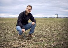 Monitoring crops for pests and disease is one of the most productive things farmers can do while waiting for rain, says Jeremy Boychyn, an agronomy specialist with the Alberta Wheat and Barley Commissions.