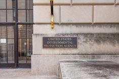 (Jimfeng/iStock/Getty Images)
