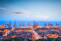A Shanghai container terminal. (Chuyu/iStock/Getty Images)
