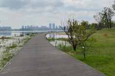 A pedestrian walkway through Xinglonghu Park in Chengdu in southwestern China in April 2022.