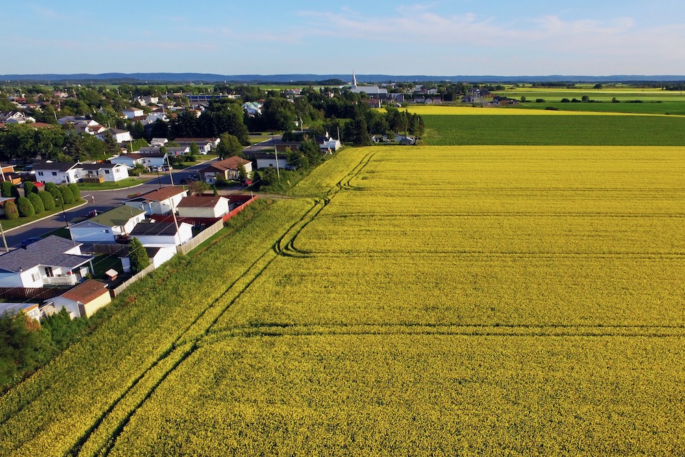 When town and country meet, farmland is often on the losing end, according to a new national report.
