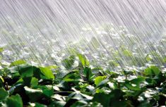 For longer duration events, the climate change signal tends to be weaker and more variable.