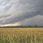 Thunderstorms are a fact of life in Alberta, but severity is due to a combination of factors.