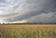 Thunderstorms are a fact of life in Alberta, but severity is due to a combination of factors.