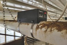 The FeedFlo sensor in a hog barn setting.