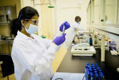 Thilini Dissanayake working in the lab.