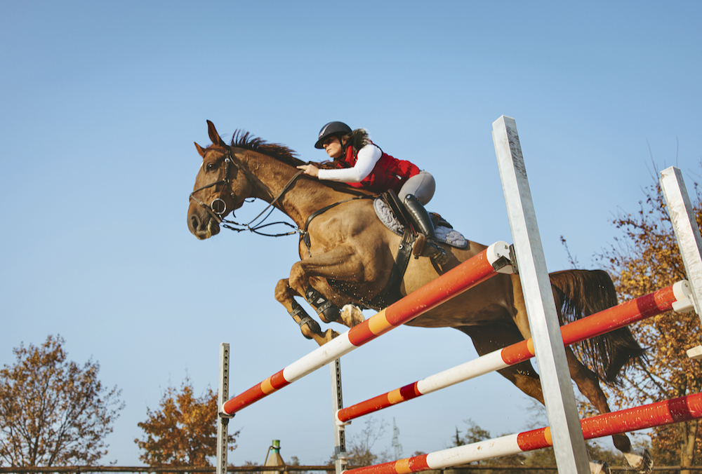 Activities like jumping require horses to have an enhanced ability to know how to move in relation to their surroundings.
