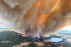A smoke column rises from a wildfire on May 4, 2023 near Lodgepole, Alta., about 30 km southwest of Drayton Valley. (Photo: Alberta Wildfire handout via Reuters)
