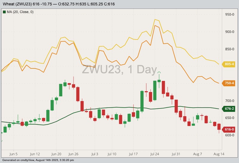 CBOT September 2023 soft red winter wheat with 20-day moving average, MGEX September 2023 hard red spring wheat (yellow line) and K.C. September 2023 hard red winter wheat (orange line). (Barchart)

