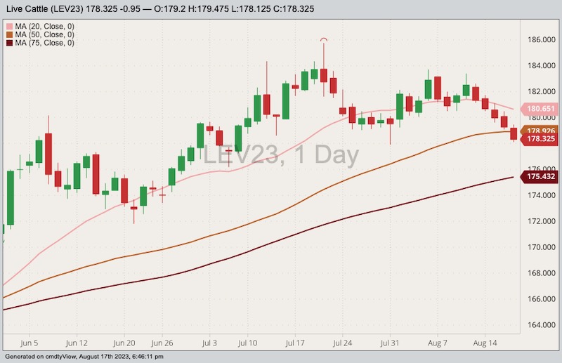 CME October 2023 live cattle with 20-, 50- and 75-day moving averages. (Barchart)
