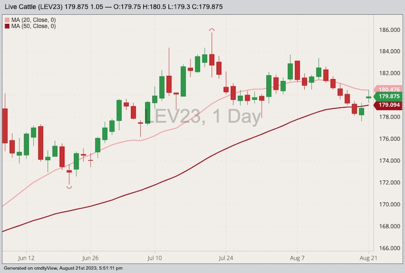 CME October 2023 live cattle with 20- and 50-day moving averages. (Barchart)
