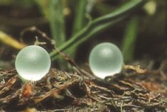 Emissions reduction needs a lifeline