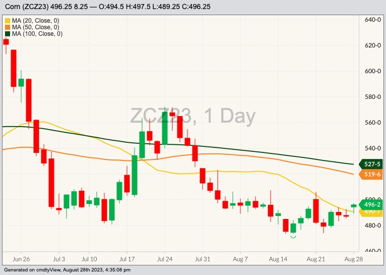 CBOT December 2023 corn with 20-, 50- and 100-day moving averages. (Barchart)
