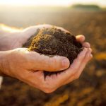 Law to boost soil health back on EU agenda