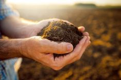 Law to boost soil health back on EU agenda