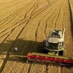 Global wheat exporters won’t keep up with demand this year, which will draw existing stocks down sharply.