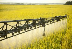 Before applying any crop protection product, read the label to find the application rate, timing and pre-harvest interval.