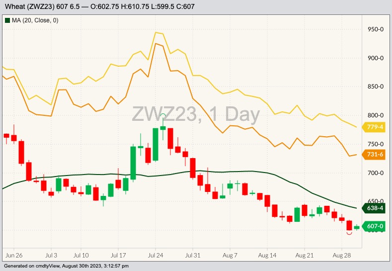 CBOT December 2023 soft red winter wheat with 20-day moving average, MGEX December 2023 hard red spring wheat (yellow line) and K.C. December 2023 hard red winter wheat (orange line). (Barchart)
