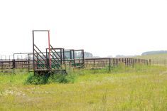 Ryan Canart outlines his operation during a July field tour.