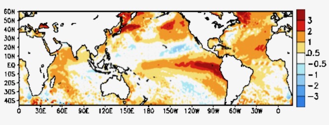 Global sea surface temperature anomalies in degrees Celsius for the week centred on Aug. 30, 2023. (CPC.ncep.noaa.gov)
