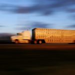 Conditioning key to transport success