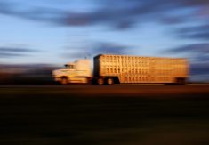 Conditioning key to transport success