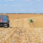 Corn harvest in Ukraine. This year farmers are struggling to justify the cost of harvesting due to the war and lack of markets.