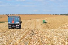 Corn harvest in Ukraine. This year farmers are struggling to justify the cost of harvesting due to the war and lack of markets.