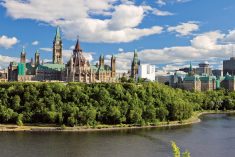 Among other opportunities, the mentorship program will bring participants to federal lobby days in Ottawa.