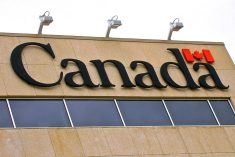 (File photo by Dave Bedard)
