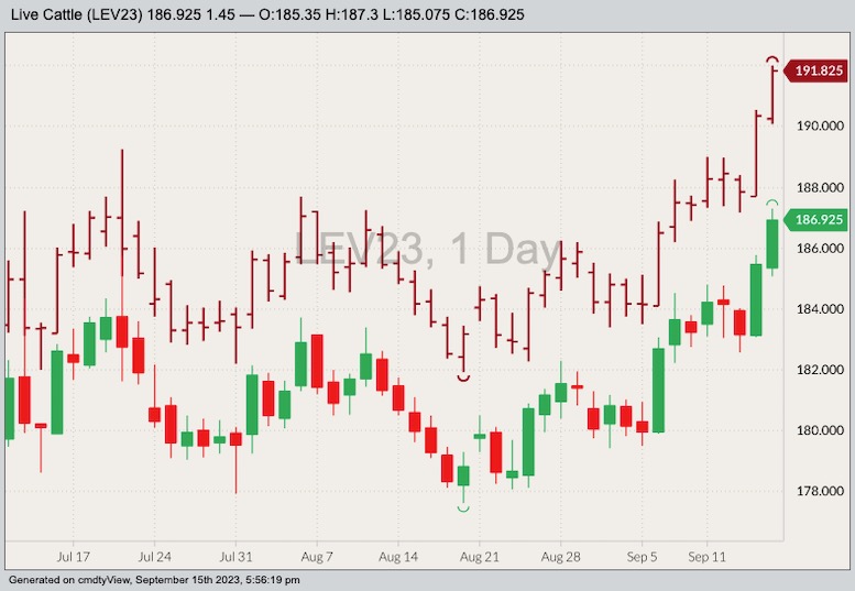 CME October 2023 live cattle, with December 2023 live cattle (dark red O/H/L/C). (Barchart)
