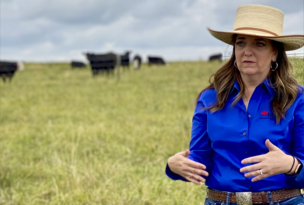 The Beef Cattle Research Council really got its start when government started backing out of beef research, says Andrea Brocklebank, BCRC executive director.