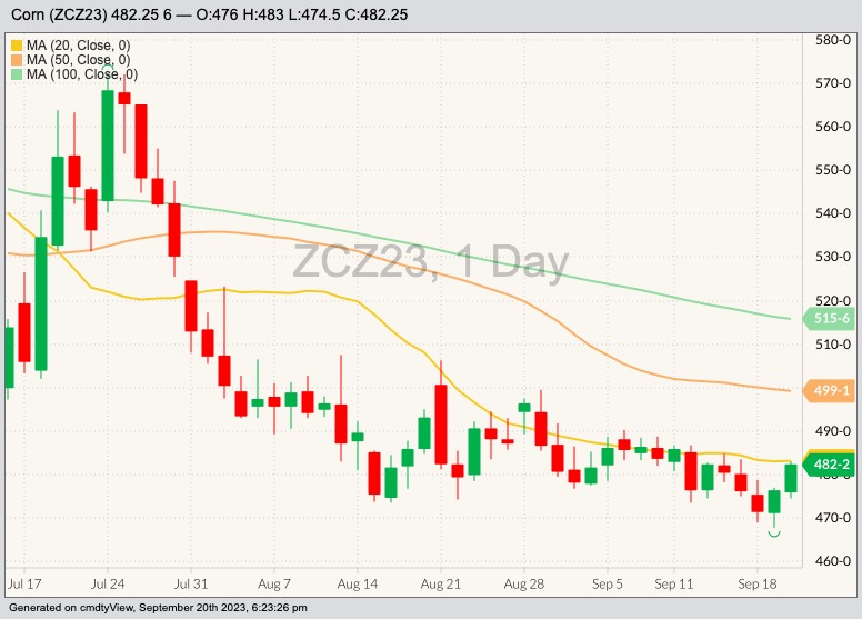 CBOT December 2023 corn with 20-, 50- and 100-day moving averages. (Barchart)
