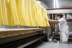 Pasta manufacturing in Italy