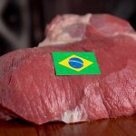 Brazil needs mandatory cattle tracking