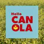 The logo introduced for the campaign.