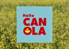 The logo introduced for the campaign.