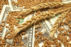 Net sales fell to $25.8 billion from $30.3 billion, reflecting a decline in prices as well as a 4.7 per cent year-on-year decrease in volumes shipped.