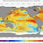Sea surface temperature (SST) anomalies in degrees Celsius on Oct. 18, 2023. (NOAA.gov)