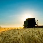 The FAO has forecast world cereal production at 2.819 billion tonnes in 2023.
