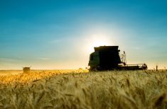 The FAO has forecast world cereal production at 2.819 billion tonnes in 2023.