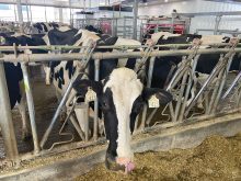 “The real intent here was to create discussion; to put methane efficiency and feed efficiency as it relates to methane emissions on the radar for dairy farmers.” – Brian Van Doormal.