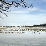 Specific weather events can occur during an El Niño, but it might not last all winter.