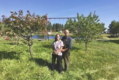 Ward and Jo-Anne Middleton on their certified organic farm north of Edmonton.